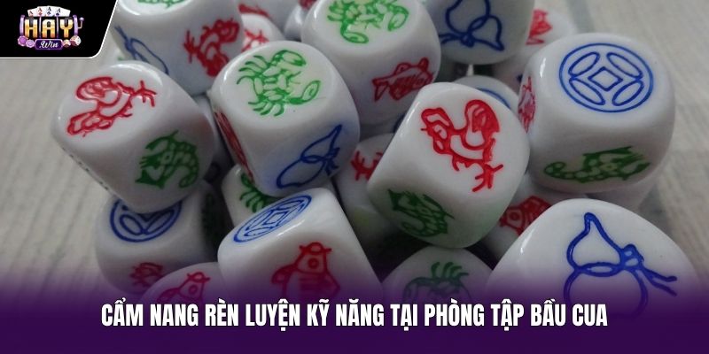 Rèn luyện kỹ năng cơ bản cùng chế độ bầu cua miễn phí