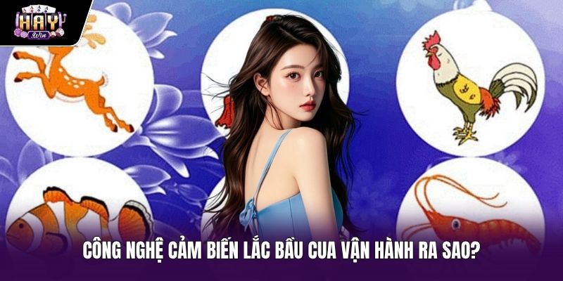 Cơ chế cảm biến con quay hồi chuyển khi lắc bầu cua