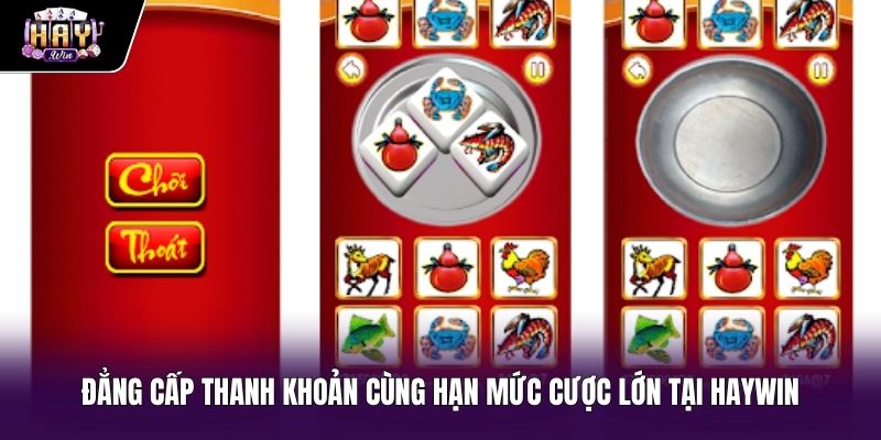 Đặc quyền giao dịch không giới hạn tại sảnh bầu cua online