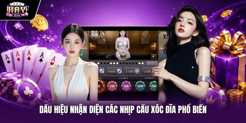 Quy luật chu kỳ biến thiên trên bảng vị xóc đĩa