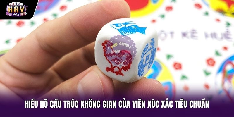 Cấu trúc không gian 3D và phương pháp nhớ mặt bầu cua
