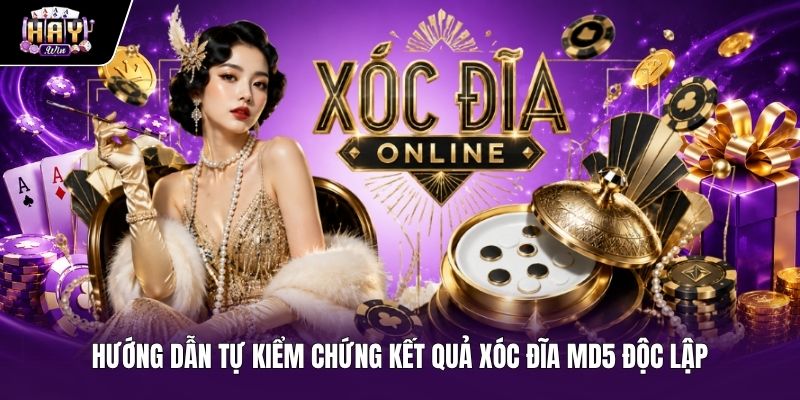 Thao tác kiểm chứng kết quả Xóc đĩa MD5 qua mã Hash