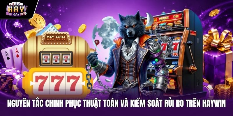 Kỹ năng kiểm soát rủi ro và thuật toán Săn jackpot Haywin