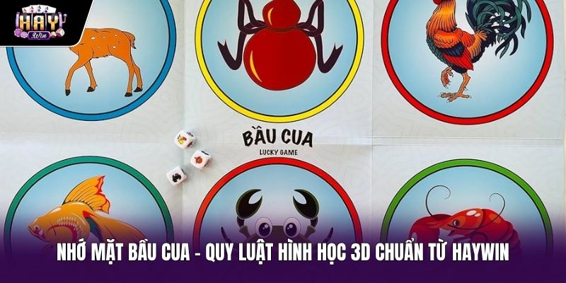 Nhớ Mặt Bầu Cua - Quy Luật Hình Học 3D Chuẩn Từ Haywin