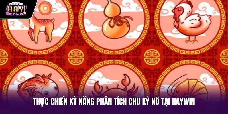 Nền tảng HAYWIN minh bạch cho kỹ năng dự đoán bầu cua